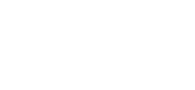 Victory Martial Arts